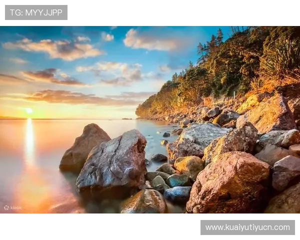 探索半岛官方旗舰店独家限量版游戏装备与收藏品提升您的游戏体验